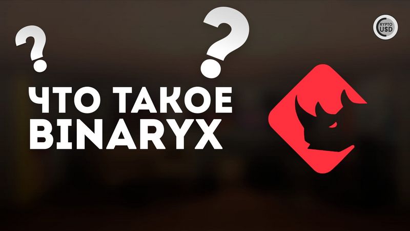 Binaryx System Evaluation - Is it Safe and Legit?
